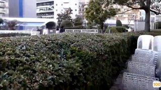 精品一区二区视频在线观看